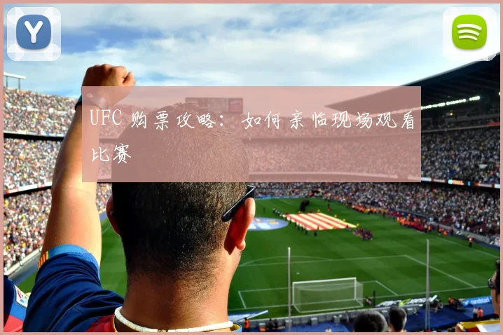 UFC 购票攻略：如何亲临现场观看比赛