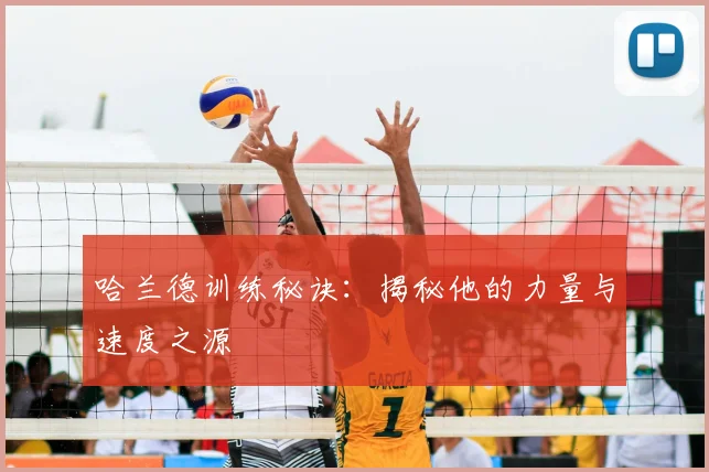 哈兰德训练秘诀：揭秘他的力量与速度之源
