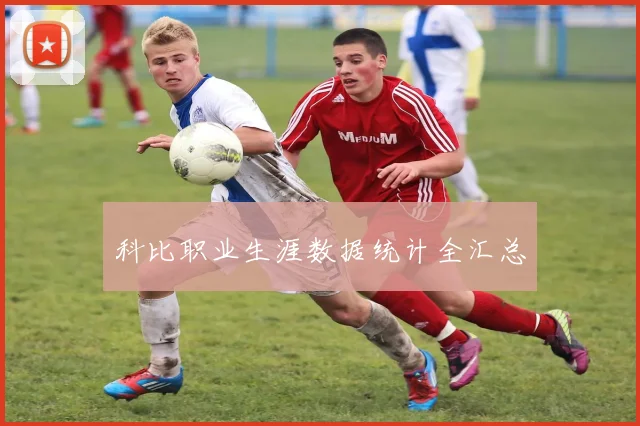 科比职业生涯数据统计全汇总